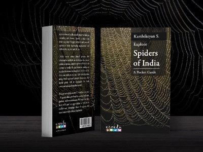 A Handy Field Guide To The Spiders Of India | Nature inFocus