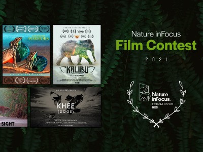 Nature inFocus Film Contest 2021: The Winners | Nature inFocus