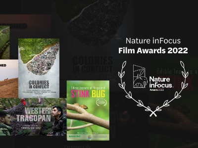 Nature inFocus Film Awards 2022: The Winners | Nature inFocus