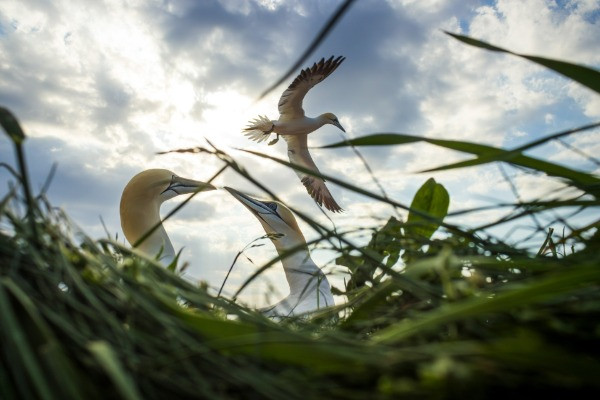 Special Mention | Young Photographer
