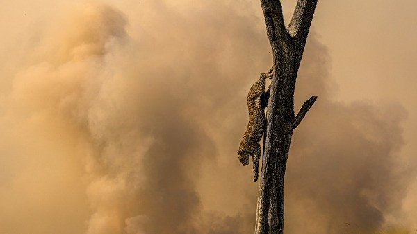 Special Mention | Young Photographer