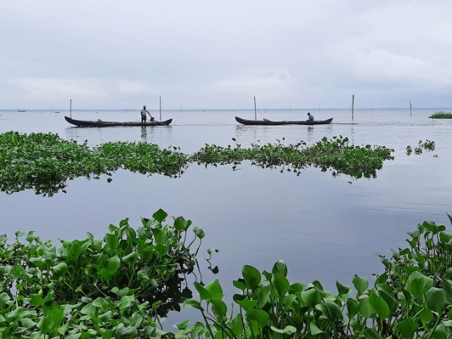 Clam Collectors Of Vembanad | Nature inFocus
