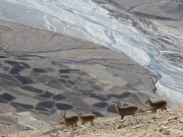 Building A Conservation Hub Of Optimists | Nature inFocus