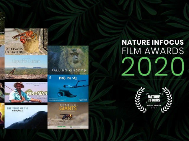 Nature inFocus Film Awards 2020: The Winners | Nature inFocus