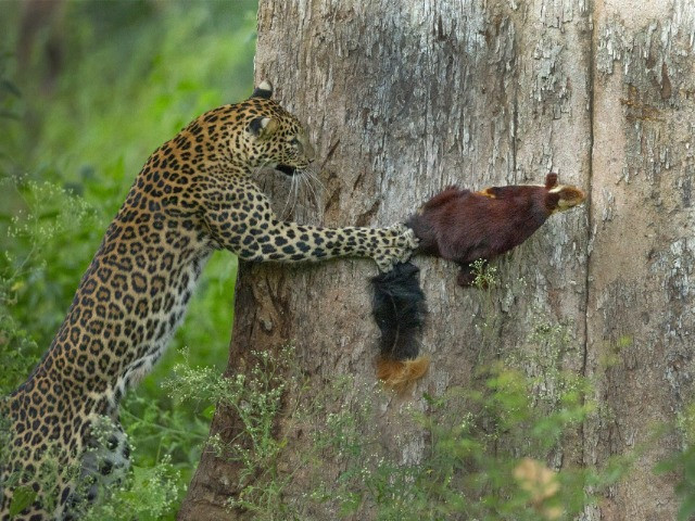 Nature inFocus Photography Contest 2021: The Winners | Nature inFocus