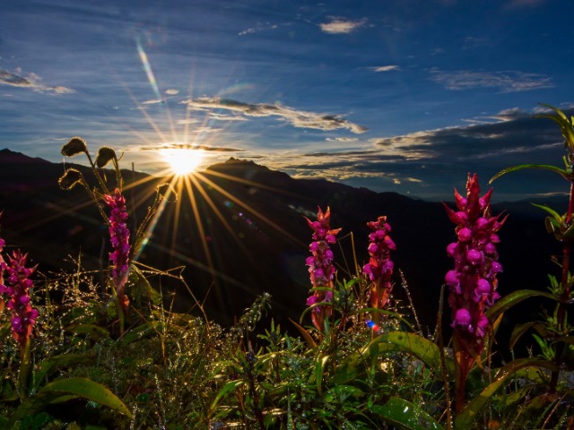 Mind And Frame... | Nature inFocus