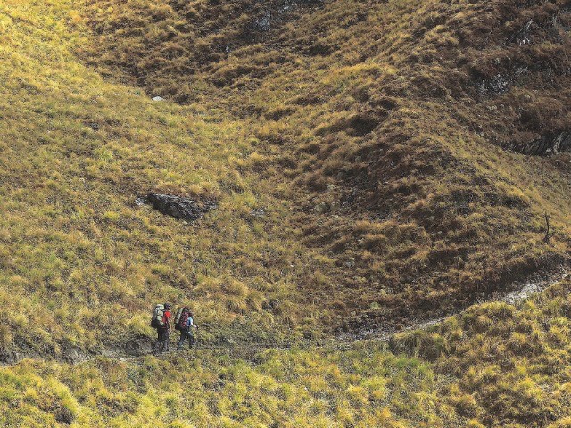 Without A Trace | Nature inFocus