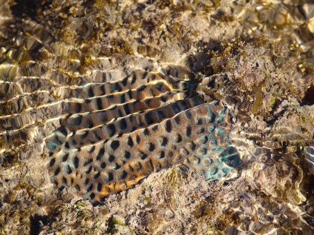 Narara | Nature inFocus
