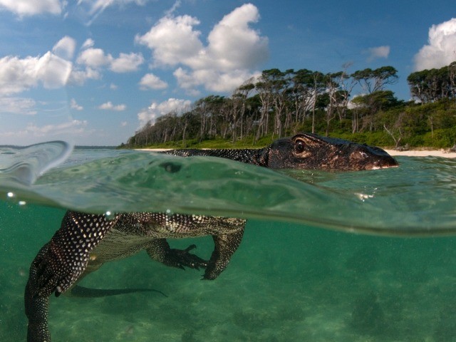 The Wild Nation - Rivers And Oceans | Nature inFocus