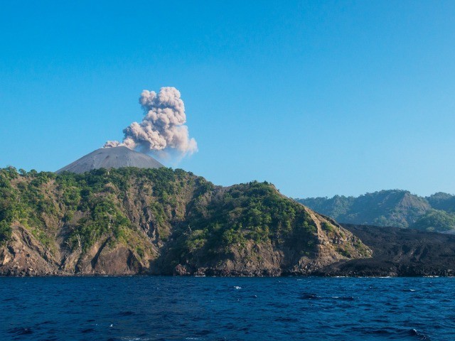 From The Ashes, A Fire Shall Be Woken | Nature inFocus