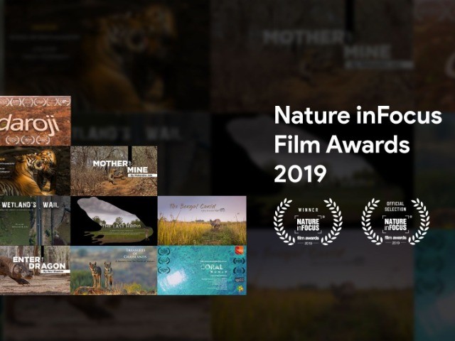 Nature inFocus Film Awards 2019: The Winners | Nature inFocus