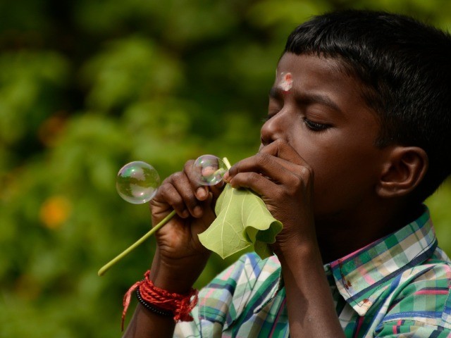 A Bygone Pastime | Nature inFocus