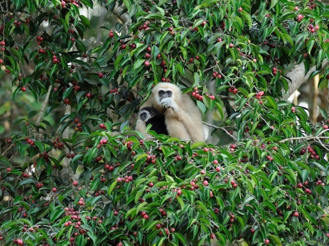 Quite Literally, Food For Thought! | Nature inFocus