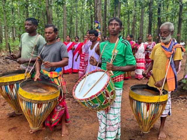 When Rakhis Wrap Around Trees, Not Wrists | Nature inFocus