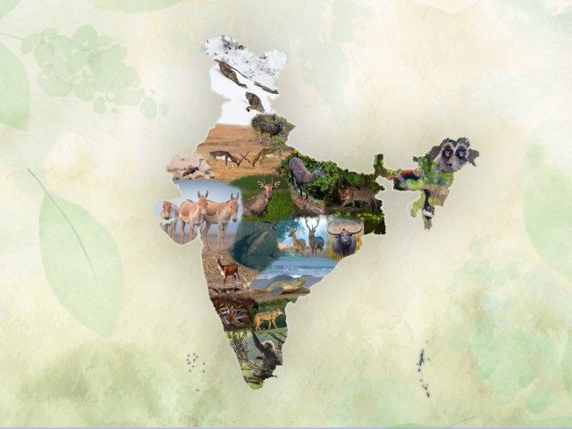 Iconic Species From Every State & Union Territory Of India | Nature inFocus Iconic Species From Every State & Union Territory Of India | Nature inFocus