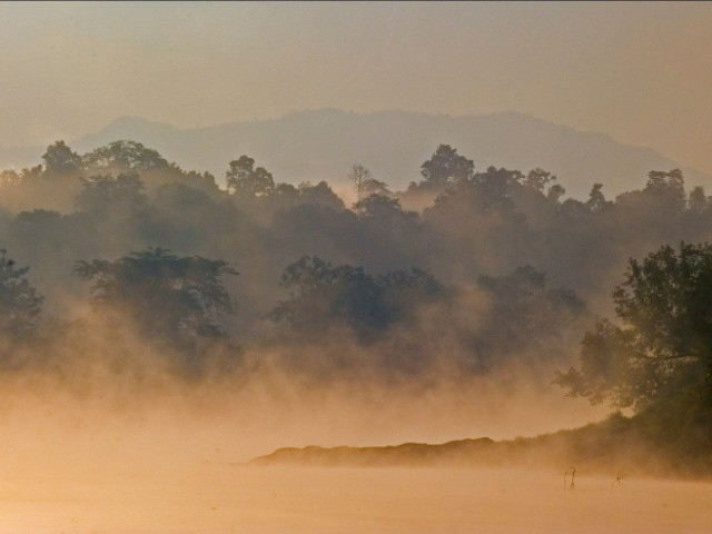 Why Do We Need To Save Dehing Patkai? | Nature inFocus