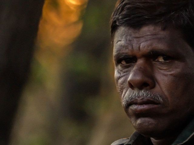 Recalling the Madanna of Bannerghatta | Nature inFocus