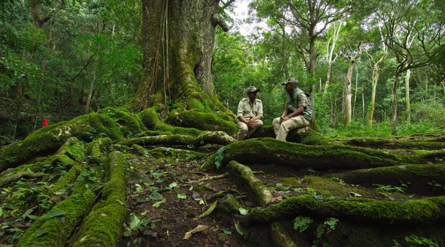 Celebrating The Forests Of Karnataka Nature inFocus