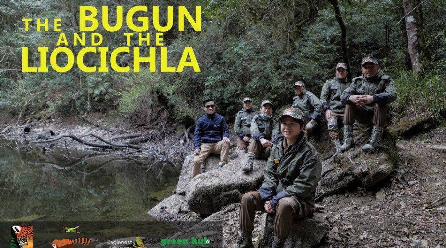 The Bugun and The Liocichla | Nature inFocus