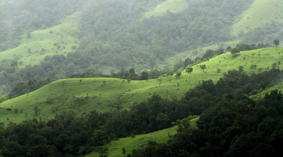 56,825 sq. km of the Western Ghats now an eco-sensitive zone | Nature inFocus