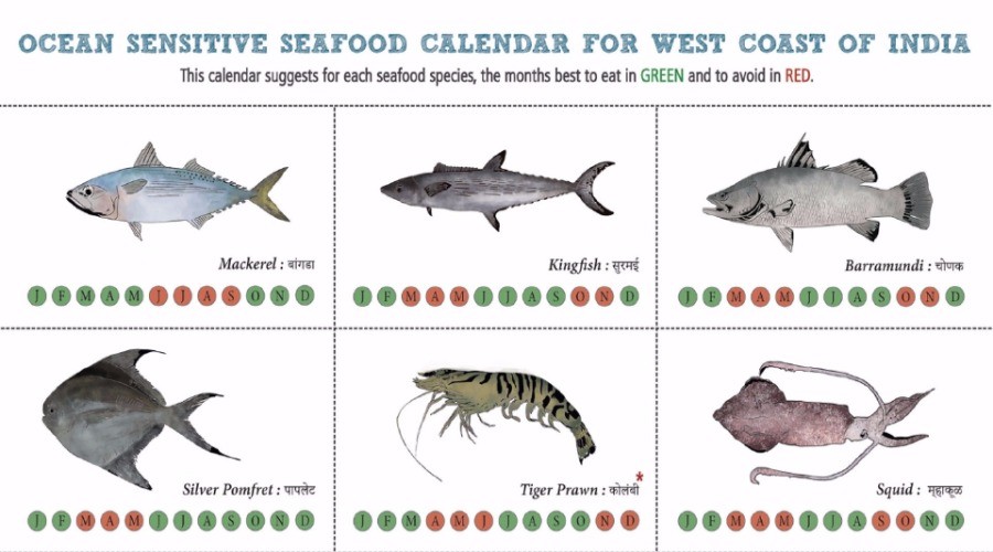 Know Your Fish: A new almanac for sustainable seafood | Nature inFocus