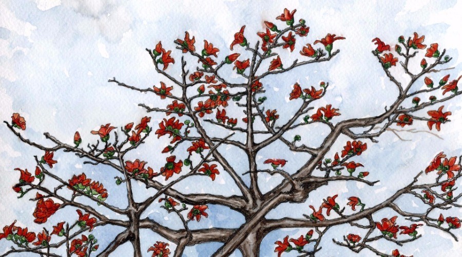 Red silk discount cotton tree
