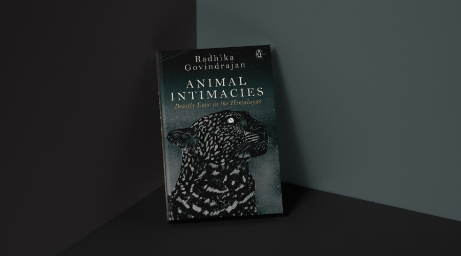 How Do Humans Live Alongside Wild Animals? | Nature inFocus How Do Humans Live Alongside Wild Animals? | Nature inFocus